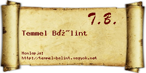 Temmel Bálint névjegykártya